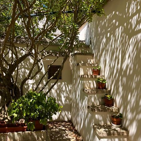 I Trulli Della Naturabio Martina Franca Dış mekan fotoğraf