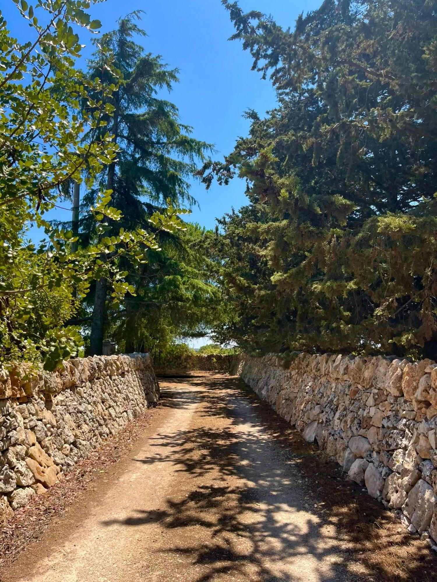 I Trulli Della Naturabio Martina Franca Dış mekan fotoğraf