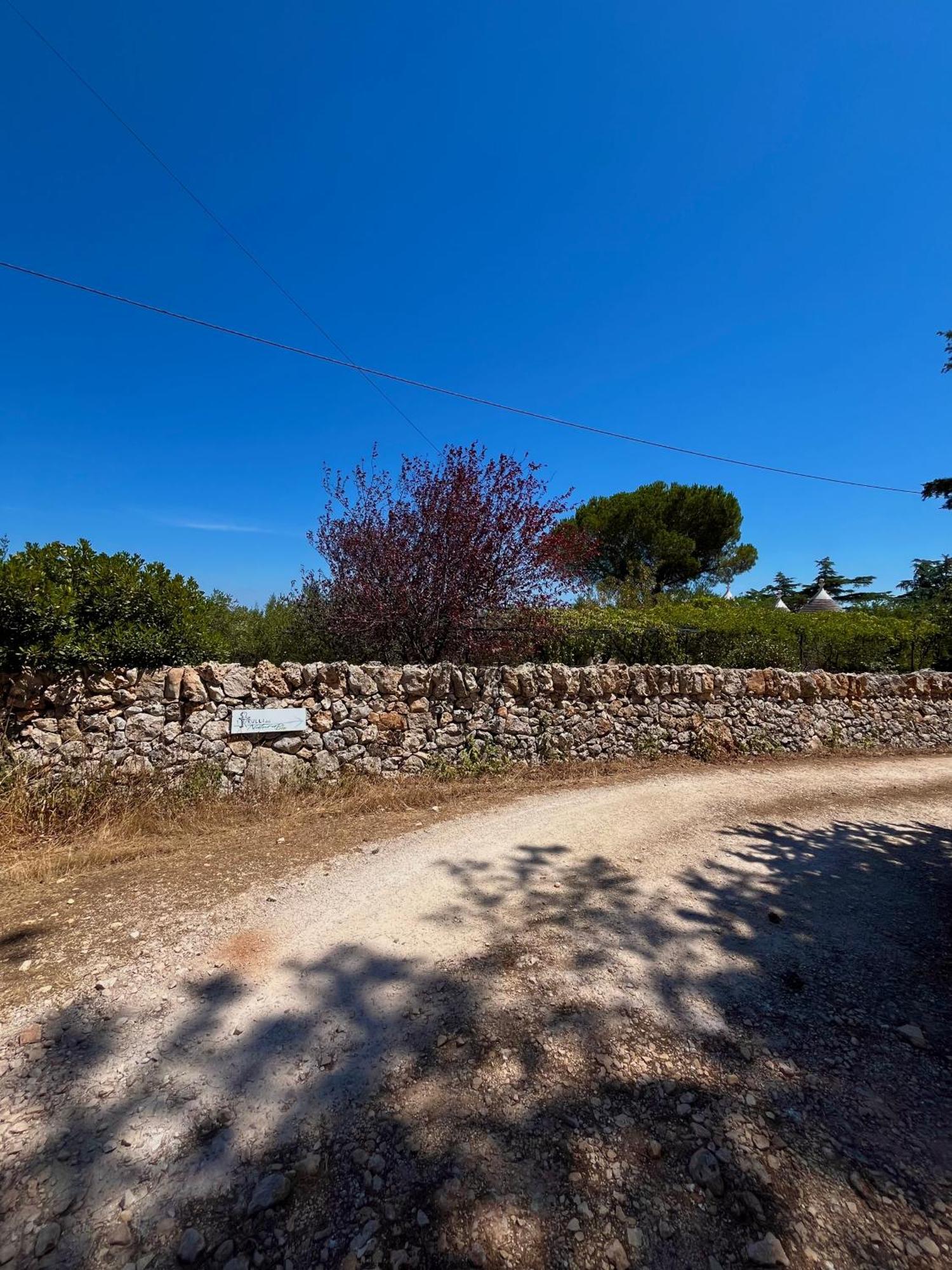 I Trulli Della Naturabio Martina Franca Dış mekan fotoğraf
