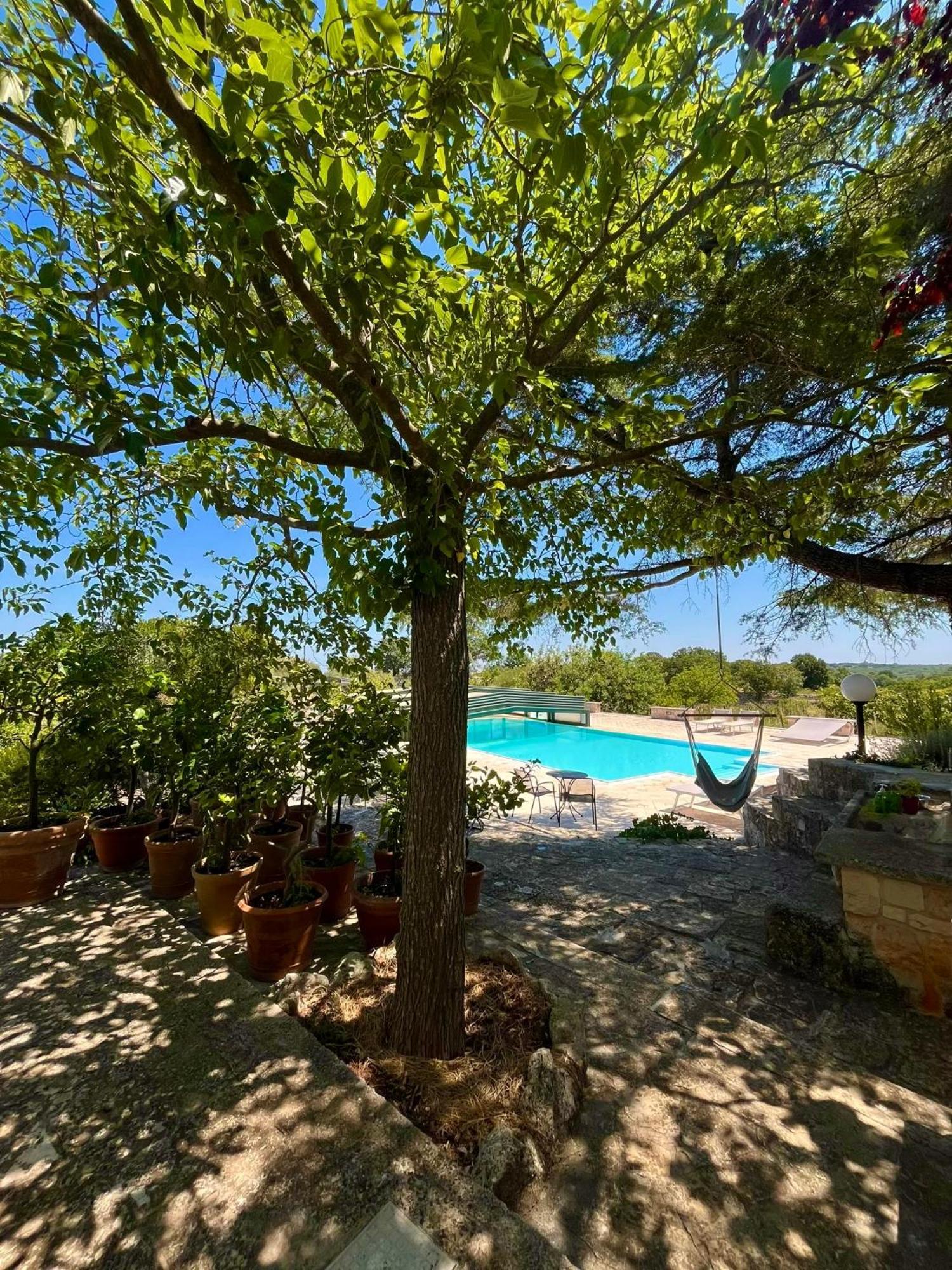 I Trulli Della Naturabio Martina Franca Dış mekan fotoğraf