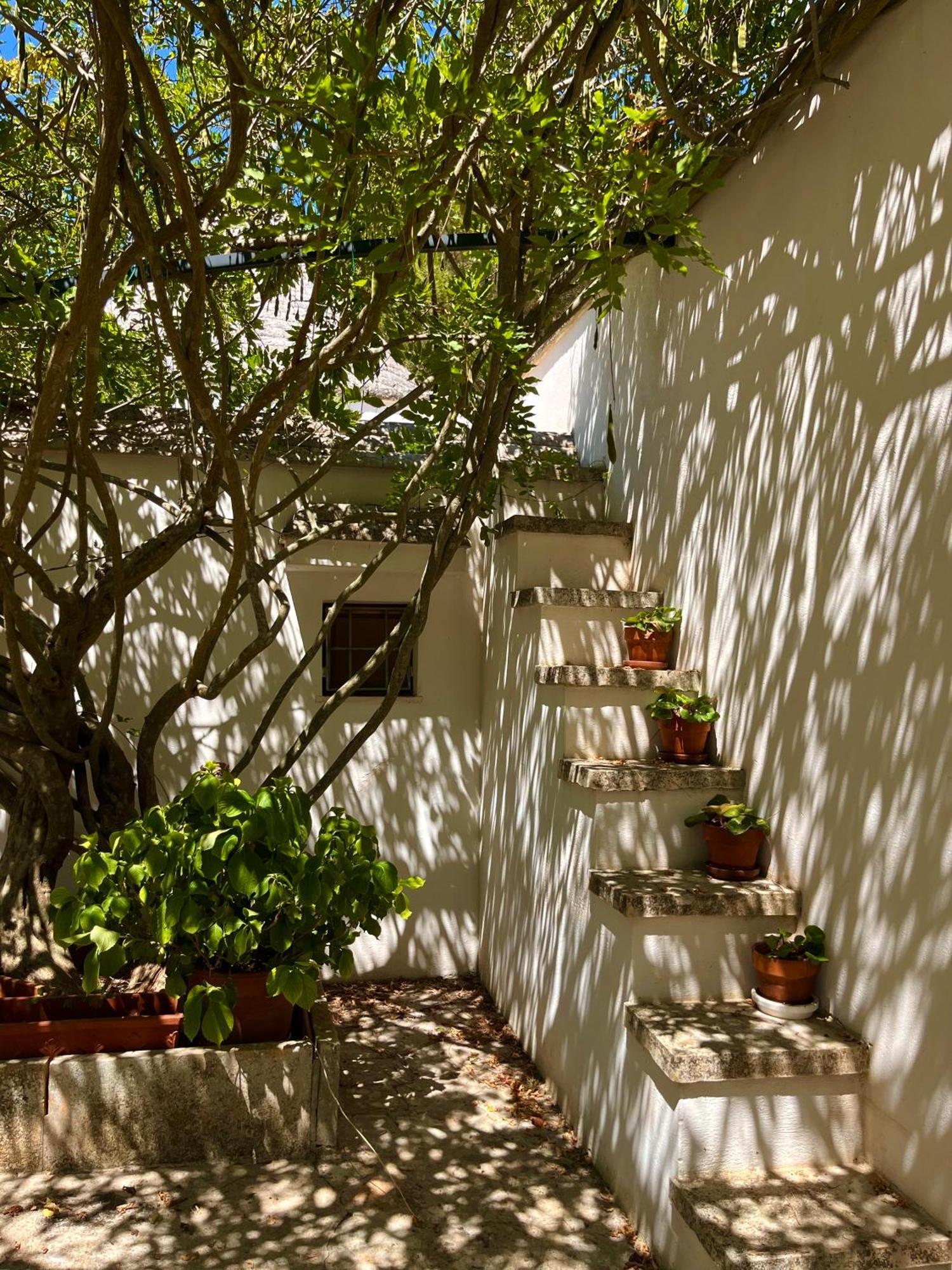 I Trulli Della Naturabio Martina Franca Dış mekan fotoğraf