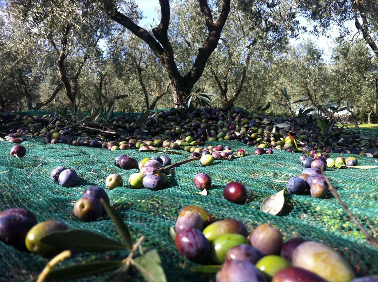 I Trulli Della Naturabio Martina Franca Dış mekan fotoğraf