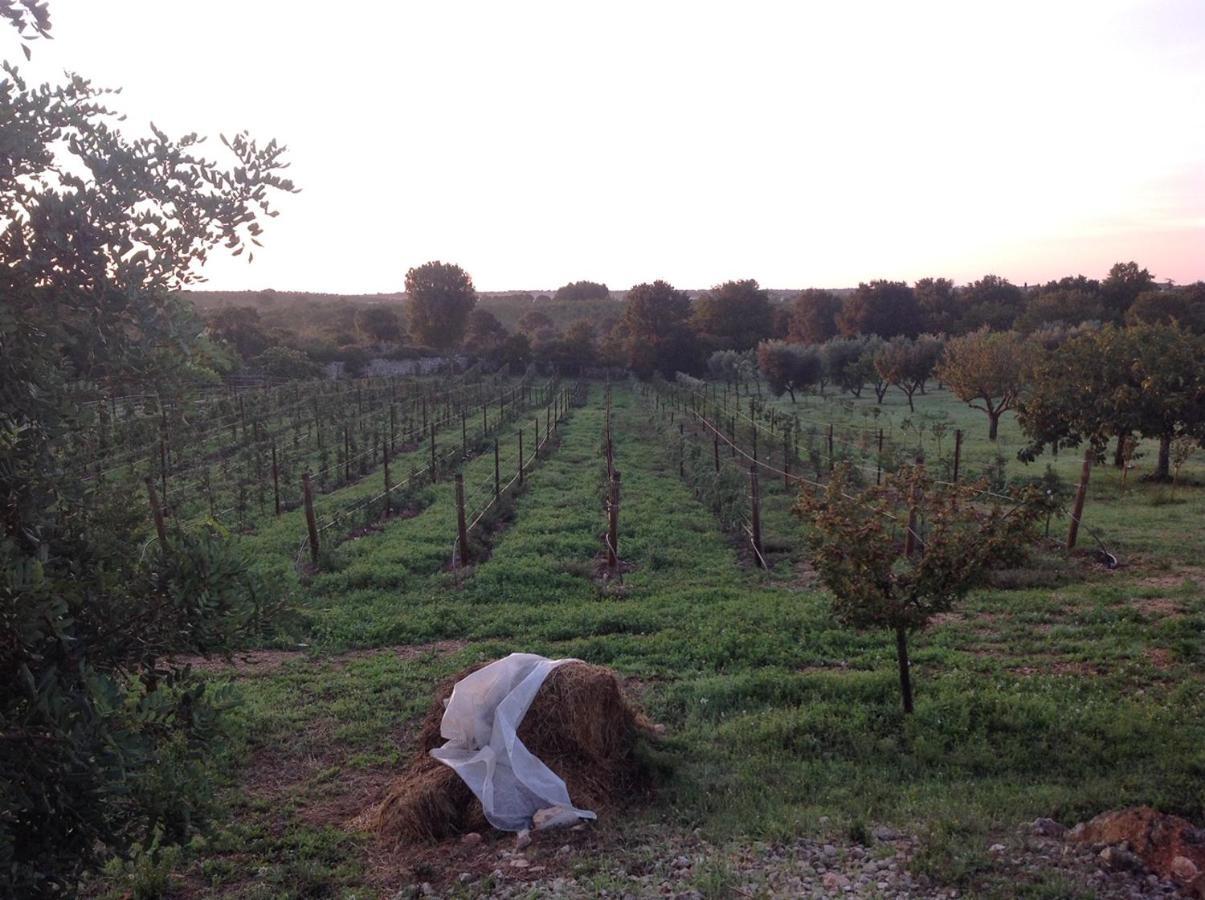 I Trulli Della Naturabio Martina Franca Dış mekan fotoğraf